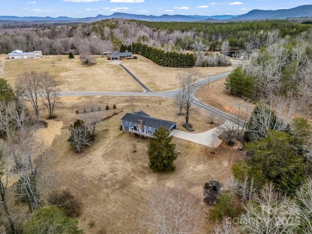 birds eye view of property featuring a mountain view