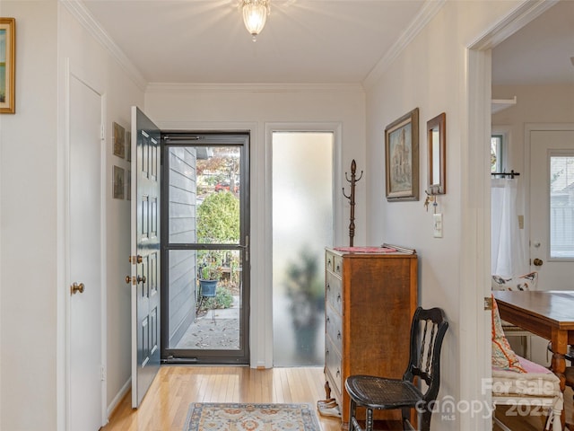 foyer entrance featuring crown molding, a wealth of natural light, and light wood-type flooring