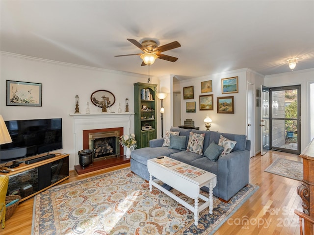 living room featuring crown molding, ceiling fan, and light wood-type flooring