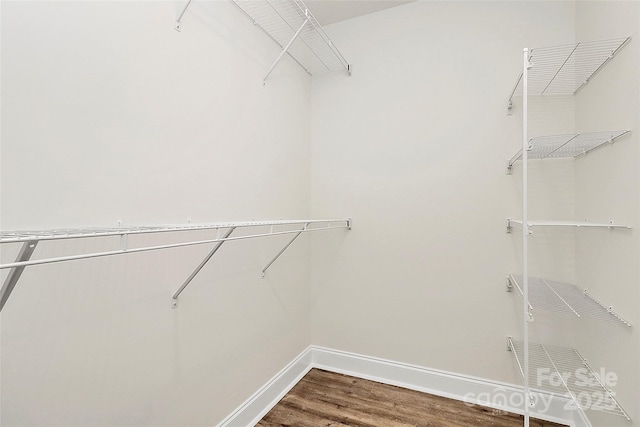 spacious closet featuring dark wood-type flooring