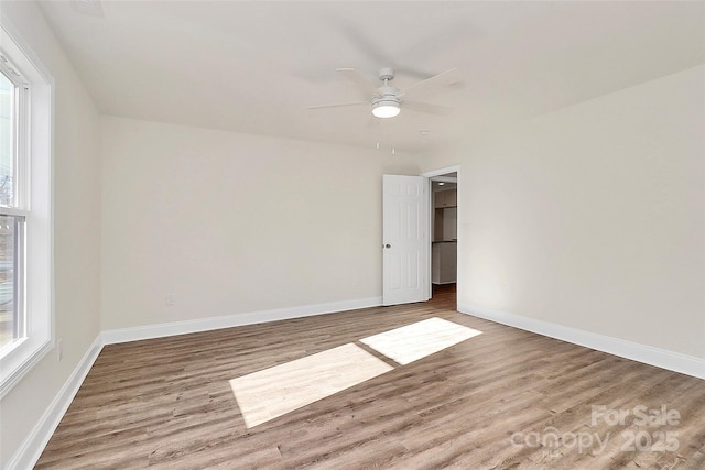 empty room featuring ceiling fan and wood-type flooring