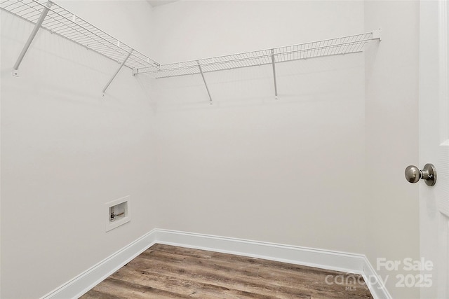 spacious closet featuring hardwood / wood-style flooring