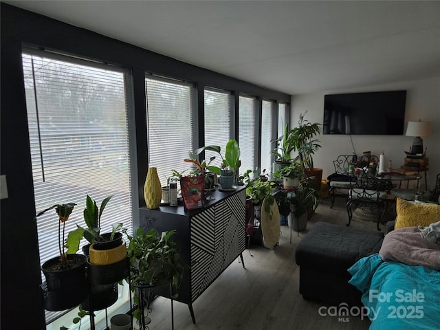 living room featuring plenty of natural light and wood-type flooring