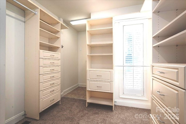 spacious closet featuring dark carpet