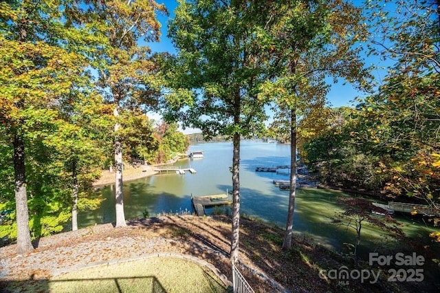 water view with a dock