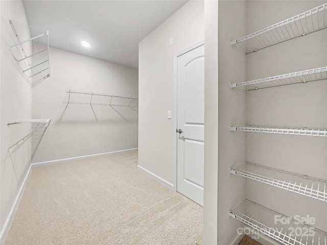 spacious closet with carpet floors