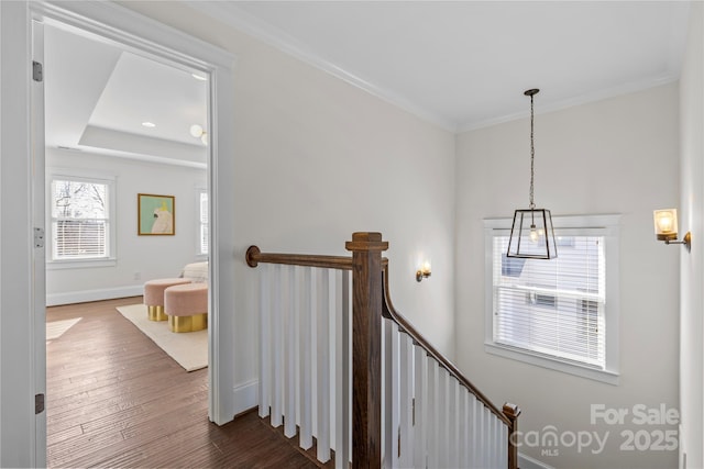 stairway featuring crown molding, hardwood / wood-style floors, and a wealth of natural light