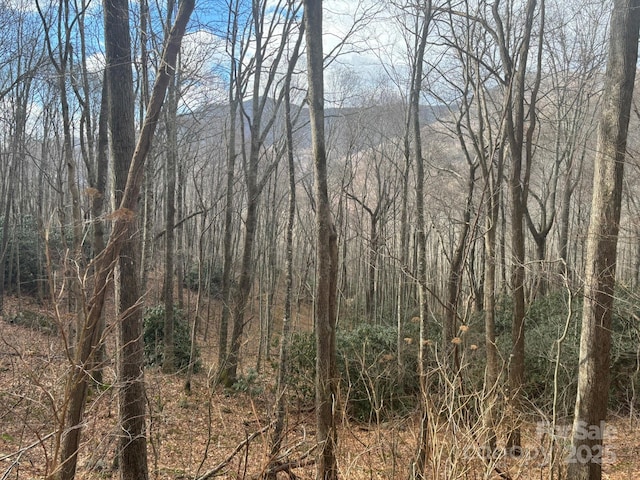 Listing photo 2 for 68 Grouse Rd Unit 68, Clyde NC 28721