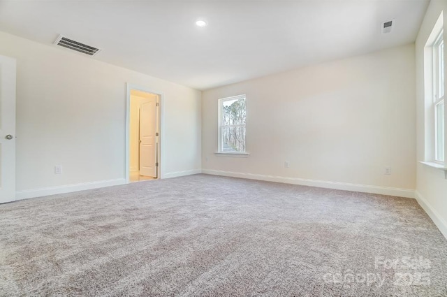 spare room with carpet