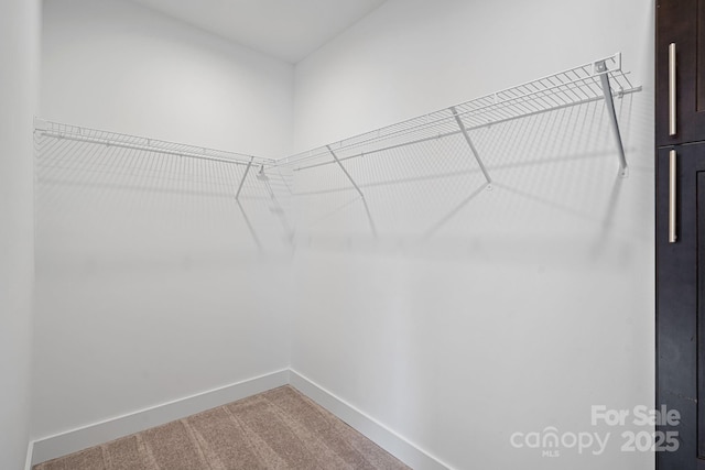 spacious closet featuring carpet floors