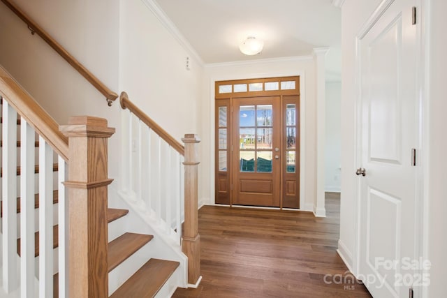 entryway featuring crown molding and dark hardwood / wood-style flooring