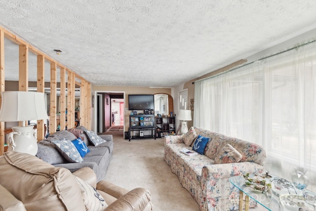 living room featuring a textured ceiling and light carpet