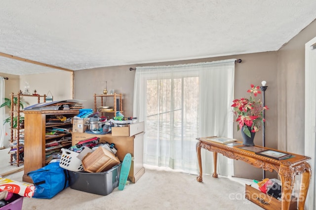 interior space with a textured ceiling and carpet floors