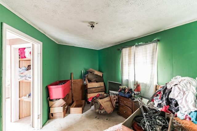 interior space featuring carpet flooring and a textured ceiling