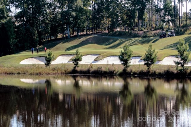 8024 Carolina Lakes Way, Fort Mill, SC 29707 - view of home's community featuring golf course view, a water view, and view of wooded area