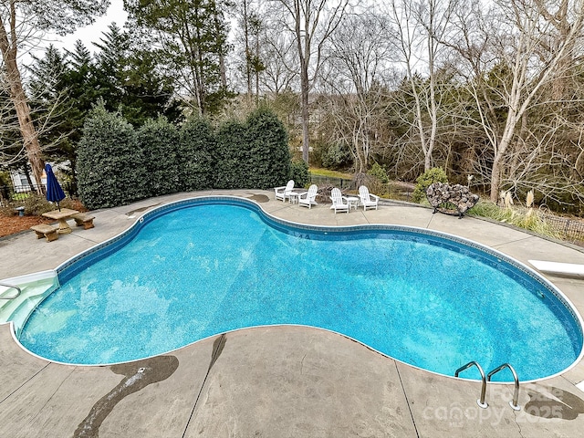 view of swimming pool featuring a diving board and a patio