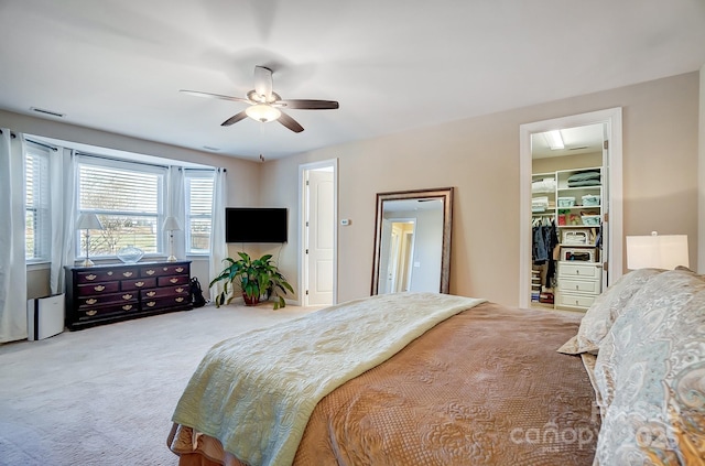 bedroom featuring ceiling fan, a closet, a walk in closet, and carpet flooring