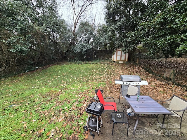 view of yard with a storage shed