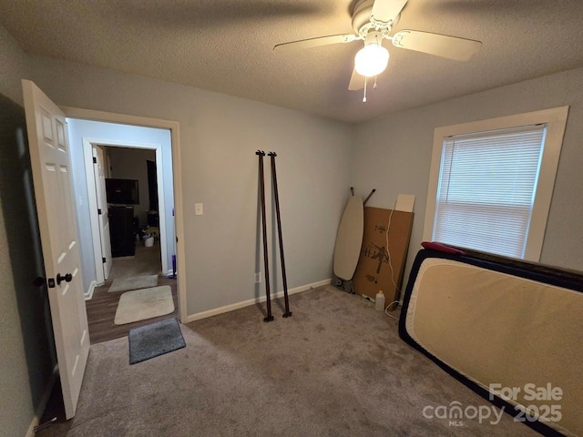 interior space featuring ceiling fan, a textured ceiling, and carpet flooring