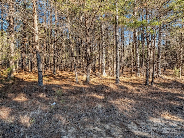 0 Petite Ct, Rutherfordton NC, 28139 land for sale