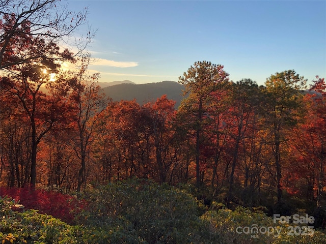 view of mountain feature