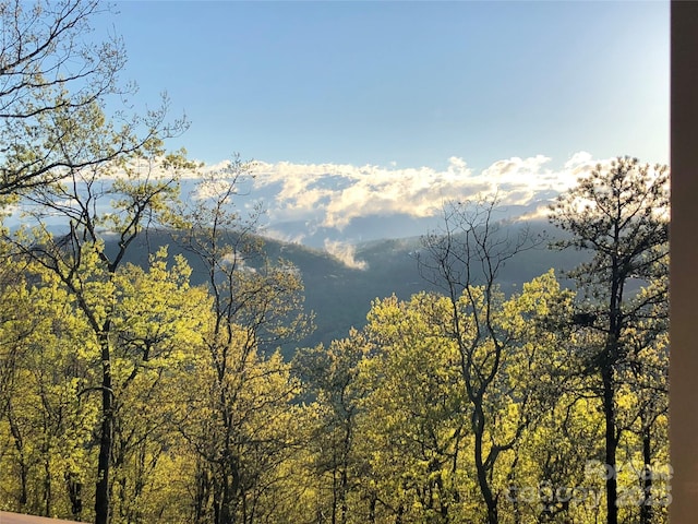 view of mountain feature