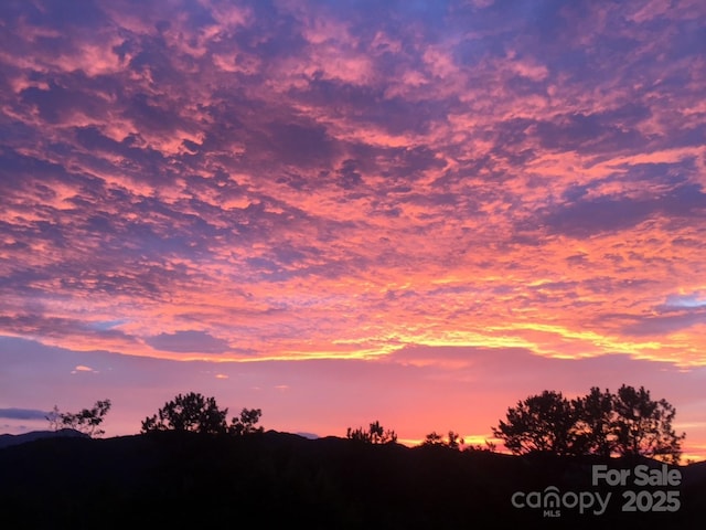 view of nature at dusk