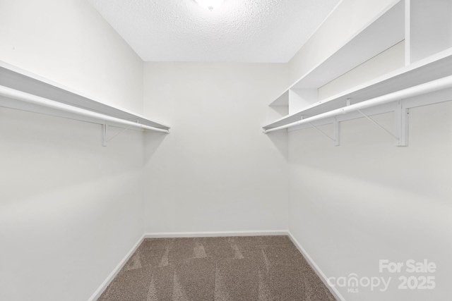 10912 Treebark Dr, Charlotte, NC 28226 - spacious closet with carpet floors