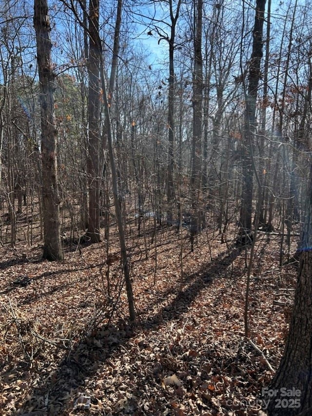 0000 Alfred Ln, Fort Mill SC, 29708 land for sale