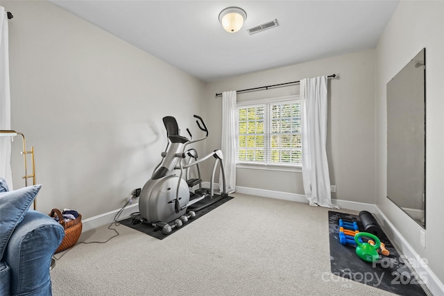 workout area with carpet floors