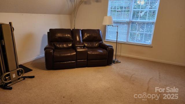 interior space with carpet floors and vaulted ceiling