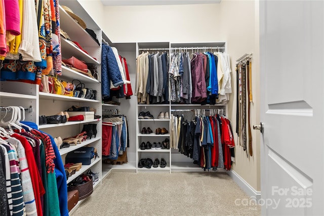 walk in closet featuring light carpet