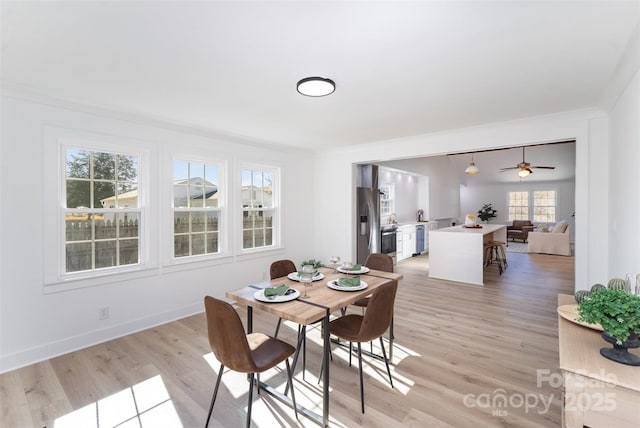 dining area with crown molding and light wood-type flooring