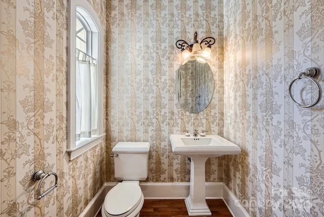 bathroom featuring toilet and hardwood / wood-style floors