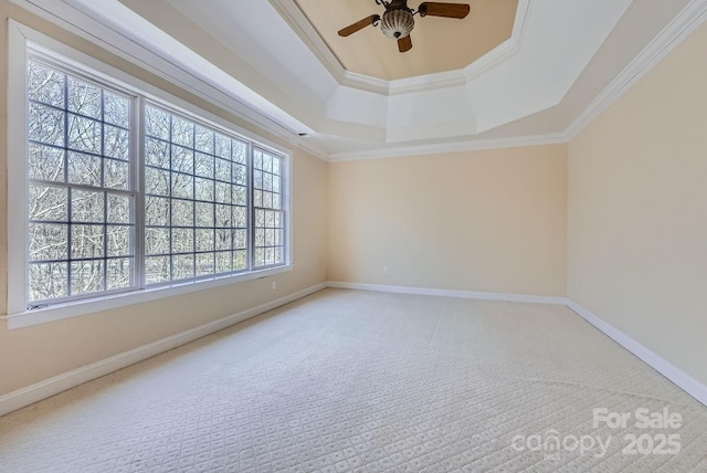 spare room featuring ceiling fan, carpet floors, a tray ceiling, and ornamental molding