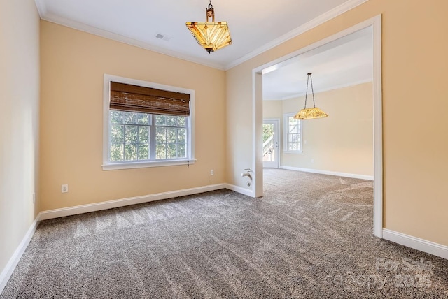 spare room featuring crown molding, plenty of natural light, and carpet