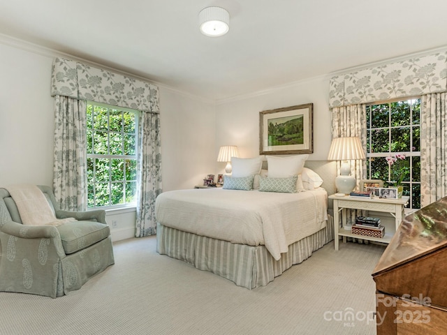 carpeted bedroom featuring crown molding