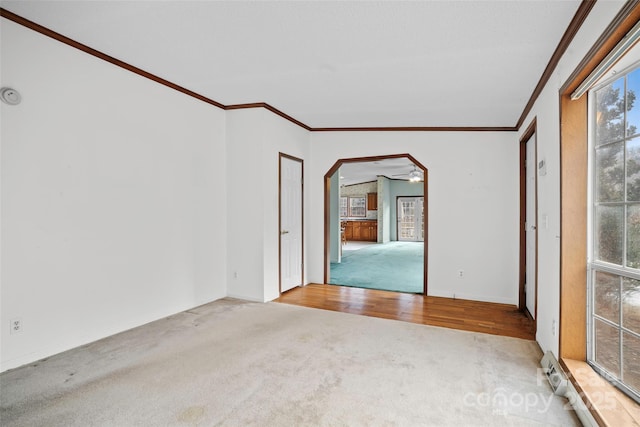 empty room featuring crown molding and carpet