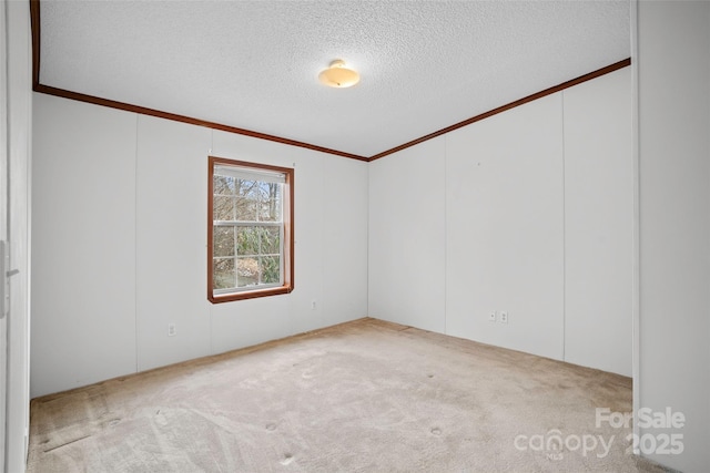 carpeted empty room featuring crown molding and a textured ceiling