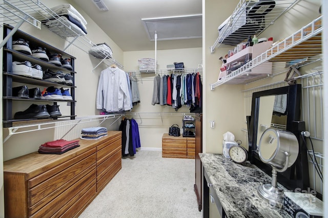 view of spacious closet