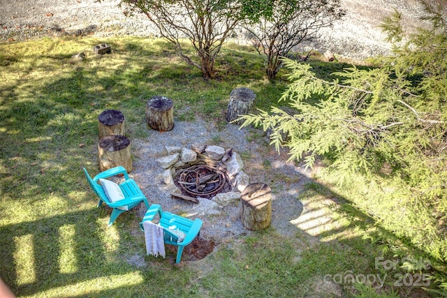 view of yard featuring a fire pit