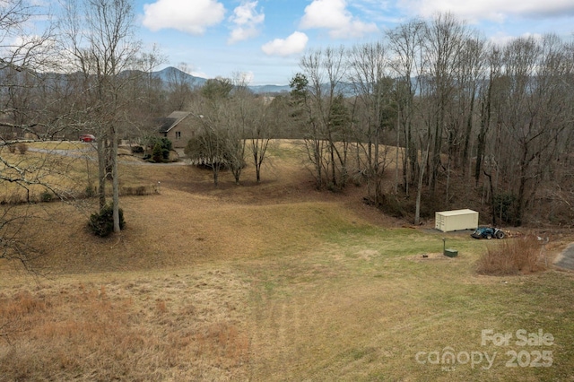 view of yard featuring a mountain view and a storage shed