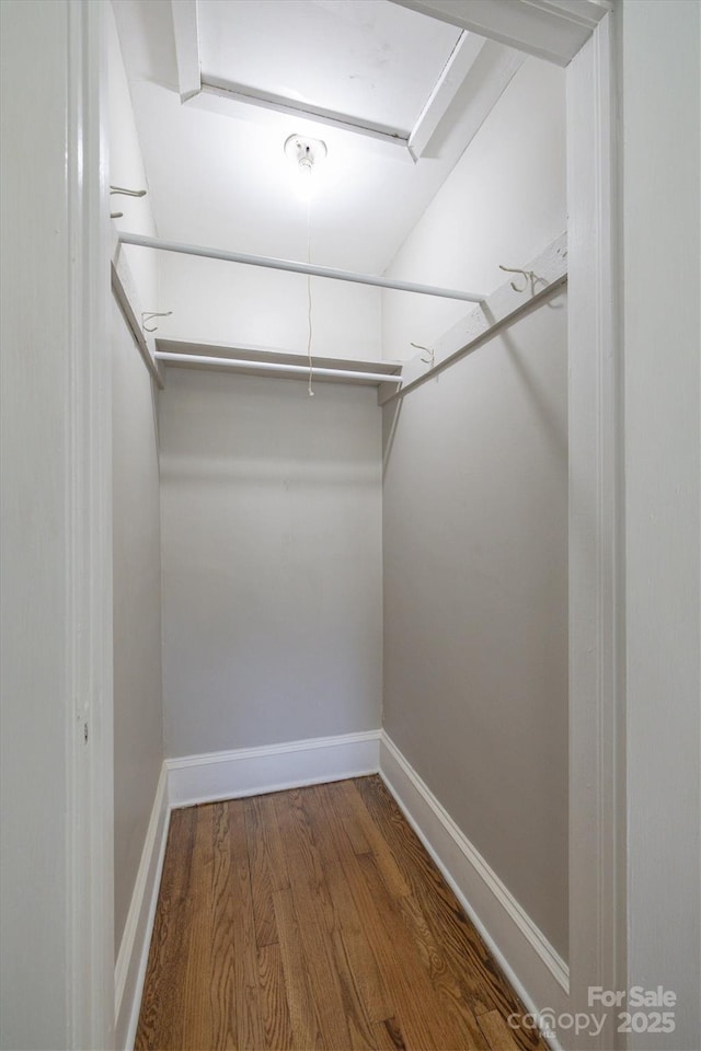 walk in closet with hardwood / wood-style floors