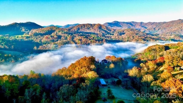 drone / aerial view with a mountain view