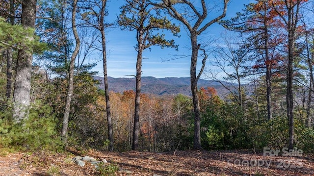 223 Red Cedar Rd, Boone NC, 28607 land for sale