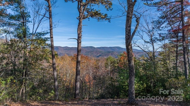 Listing photo 2 for 223 Red Cedar Rd, Boone NC 28607