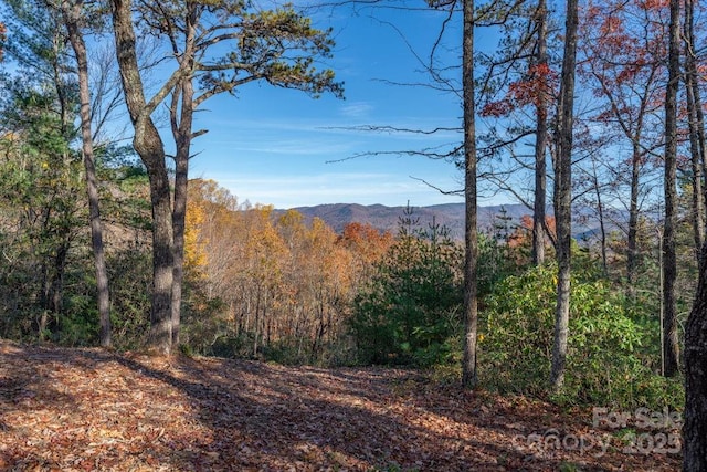 Listing photo 3 for 223 Red Cedar Rd, Boone NC 28607