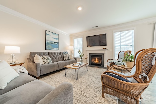 living room featuring ornamental molding