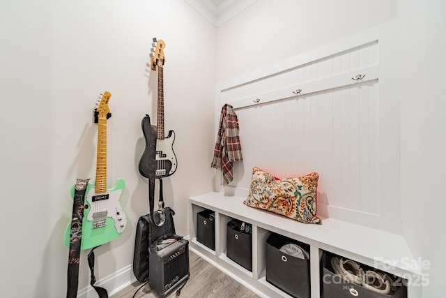 mudroom featuring crown molding and hardwood / wood-style floors