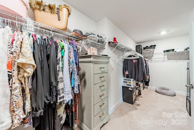 spacious closet with light carpet